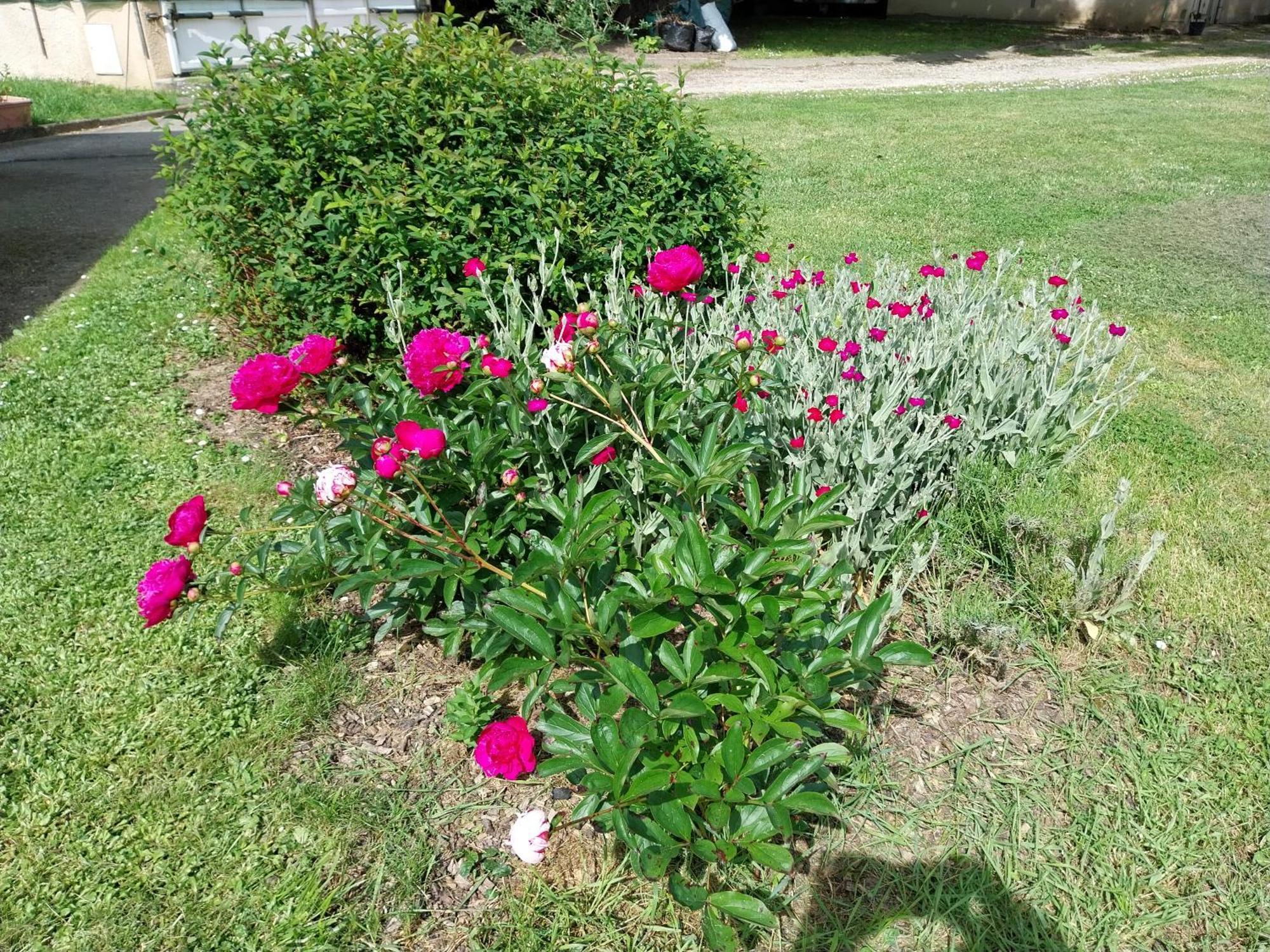Les Bernus Bed and Breakfast Monfaucon  Εξωτερικό φωτογραφία
